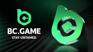 Unlock the Thrills with BC.Game Bonuses