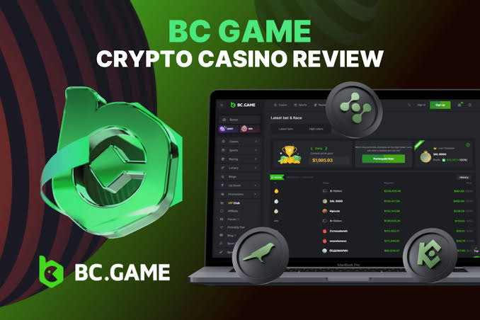 How to Navigate the BC.Game Registration Process How to Navigate the BC.Game Registration Process